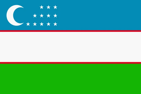 Flag Uzbekistan Background Illustration Large File — Stock fotografie