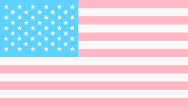 A United States of America trans gender flag