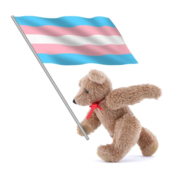 Una Bandera Transgénero Que Lleva Lindo Osito Peluche —  Fotos de Stock