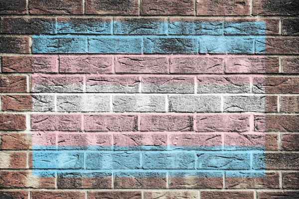 レンガの壁の背景にトランスジェンダープライドフラグ青白ピンクのストライプ — ストック写真