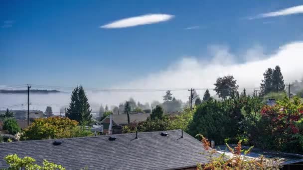 25. září 2021 - Nanaimo, Kanada: Ranní mlha v Odletové zátoce za slunečného dne — Stock video
