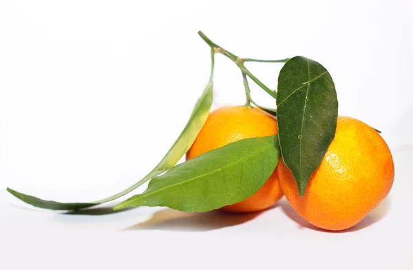 Orange mandarins with green leaf isolated on white background — Stock Photo, Image