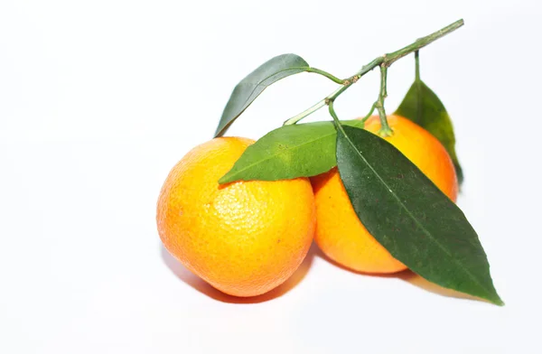 Orange mandarins with green leaf isolated on white background — Stock Photo, Image