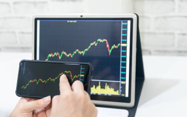 Bir işletme bilgisayardaki satış artışının finansal grafiğini inceler