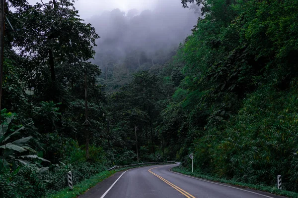 Araba yolu ağaçlar ve sis gibi doğal.