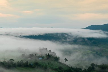 mountain scenery with fog of Phetchabun, Thailand