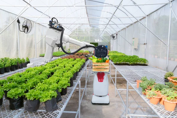 Agricultural robotics industry gardening and planting vegetables
