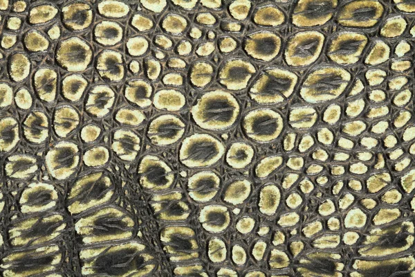 Textura de serpiente — Foto de Stock