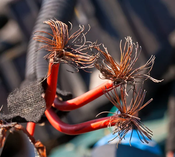 Kırmızı kablo içinde bakır iplikler — Stok fotoğraf
