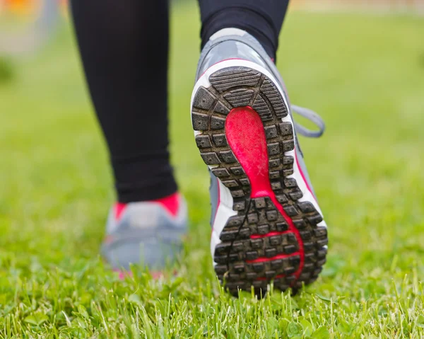 Sport shoes — Stock Photo, Image