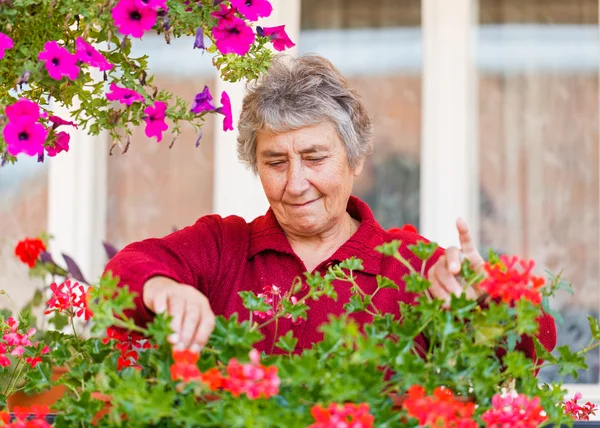 Old lady with flowers — Stock Photo, Image