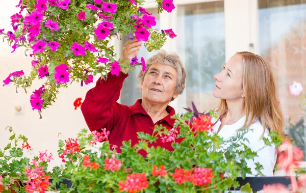 Pflege zu Hause — Stockfoto