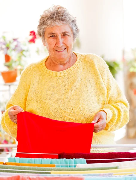 Lavori domestici — Foto Stock