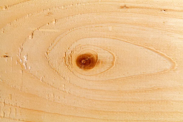 Kawałek drewna — Zdjęcie stockowe