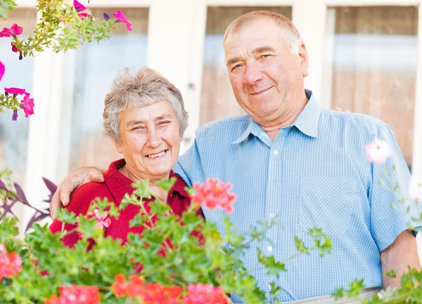 Feliz pareja de ancianos —  Fotos de Stock