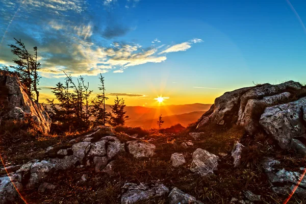 Picturesque landscape