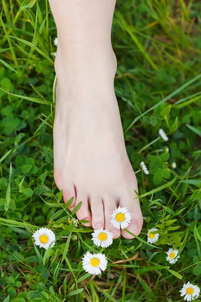 芝生に裸足 — ストック写真