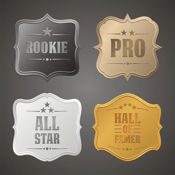 Rookie, pro, all star, hall av famer badge — Stock vektor