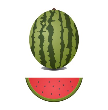 karpuz vektör