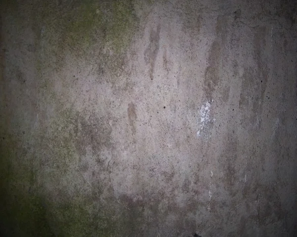 Old dirty wall covered in mold — Stock Photo, Image