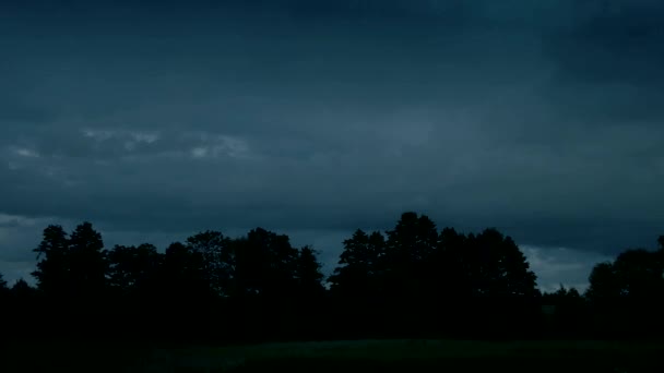 Ночные облака на фоне леса — стоковое видео