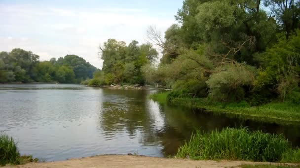 Paysage fluvial 
