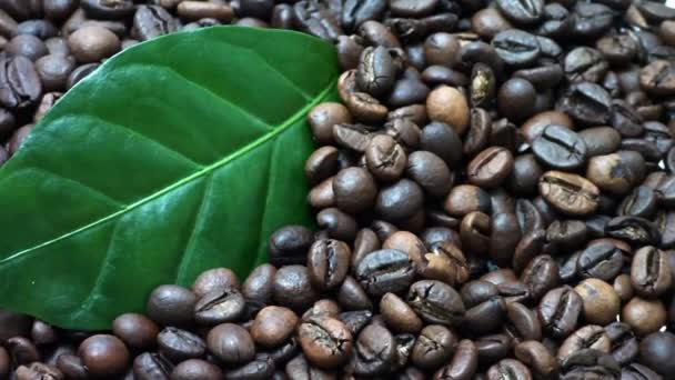 咖啡豆. — 图库视频影像