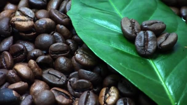 Granos de café. — Vídeo de stock