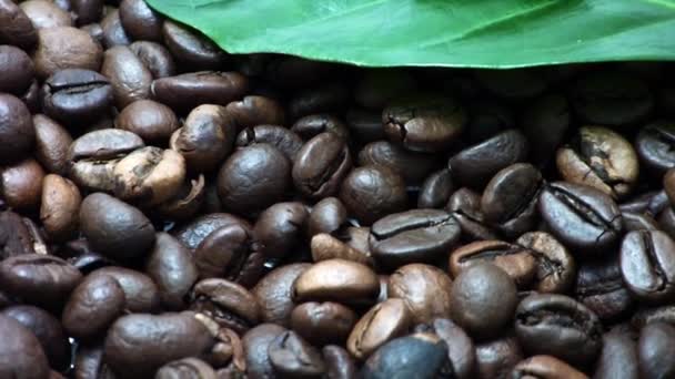 咖啡豆. — 图库视频影像