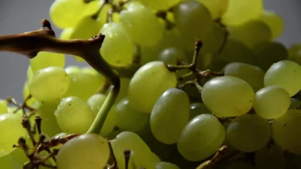 Белый виноград крупным планом . — стоковое видео