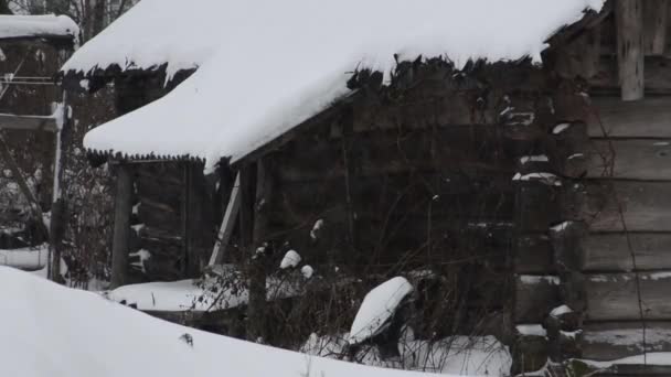 Nieve pesada y casa de madera — Vídeo de stock