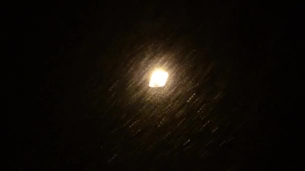 Lumières de lanterne de parc de nuit 