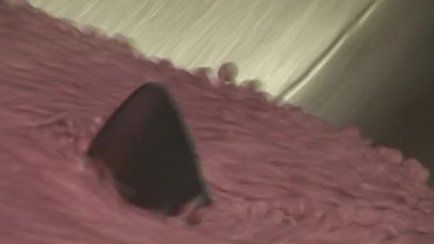 Production à l'usine 