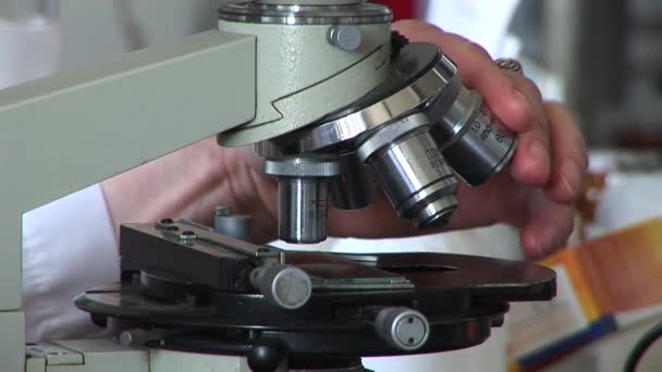 Дослідники працюють в лабораторії — стокове відео