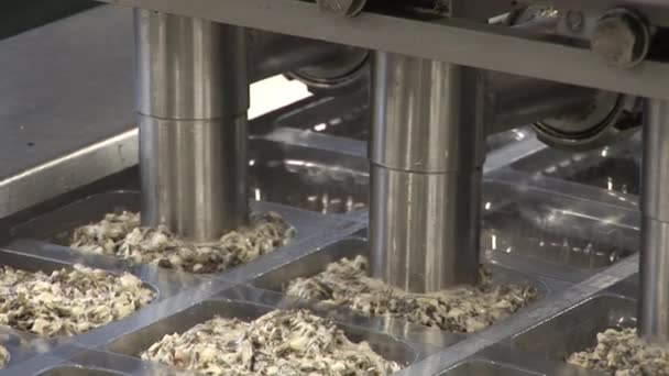 Production of seafood salad — Stock Video