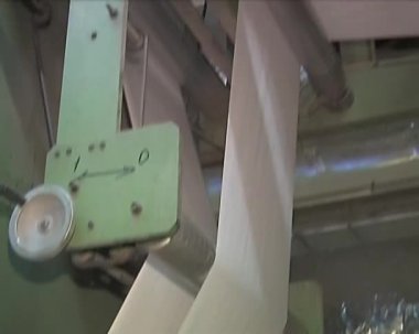 Kağıt üretimi için bitki