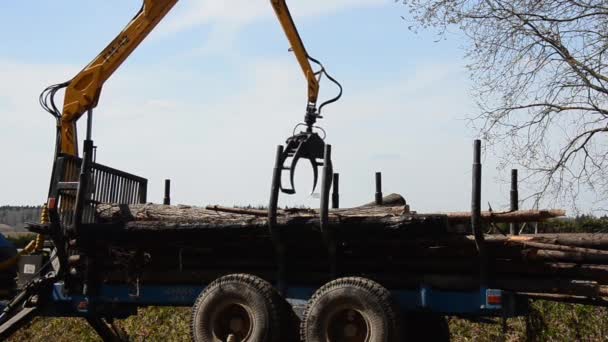 Camion cargo spécial avec grue — Video