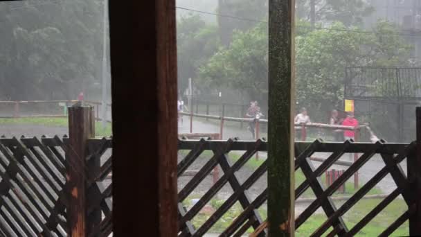 强降雨 — 图库视频影像