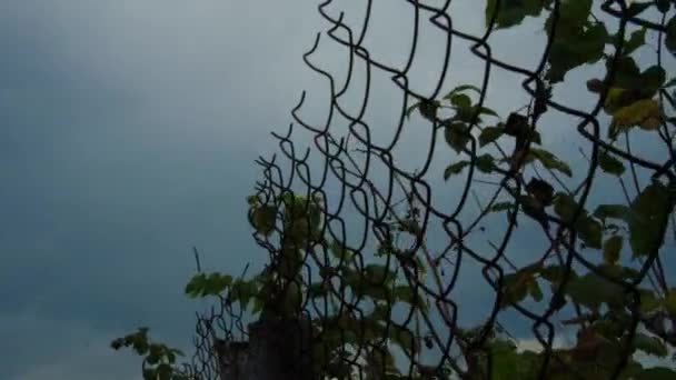 金属围栏 — 图库视频影像
