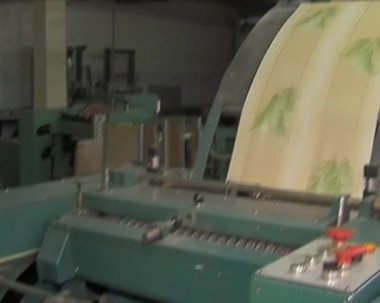 Kağıt üretimi için bitki