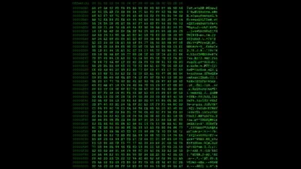 Green Hexadecimal code — Stock Video