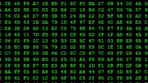 Codice esadecimale sullo schermo del computer . — Video Stock