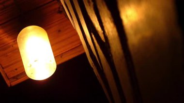 bir ampul uçan güveler