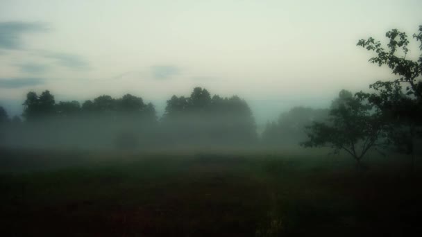 Neblina sobe — Vídeo de Stock