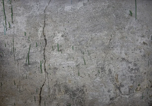 Grunge duvar ( doku eski duvar ) — Stok fotoğraf