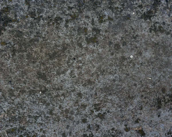 오래 된 콘크리트 벽 — 스톡 사진