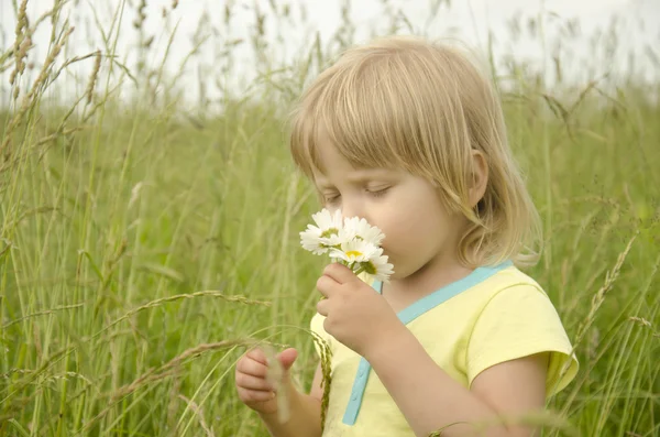 Little girl smelling a daisy — Stock Photo, Image