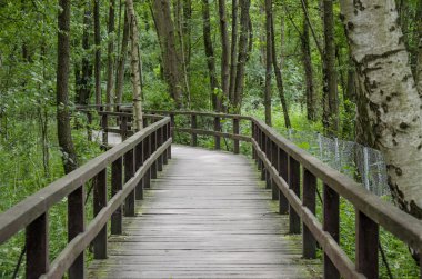 Orman (kirli su kontamine su).