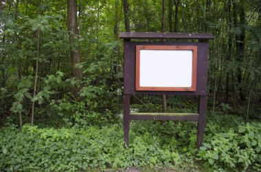 bilgi boş ormanda beyaz pano