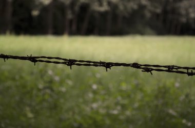 Dikenli telle çevrili alanı